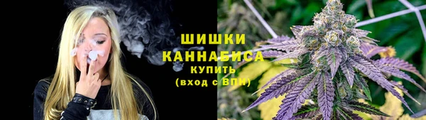 амфетамин Белокуриха