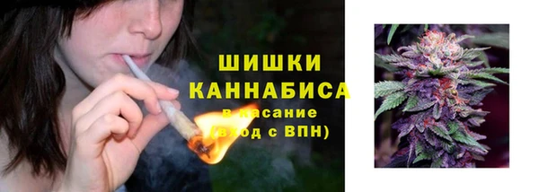 a pvp Бородино