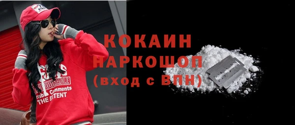 a pvp Бородино
