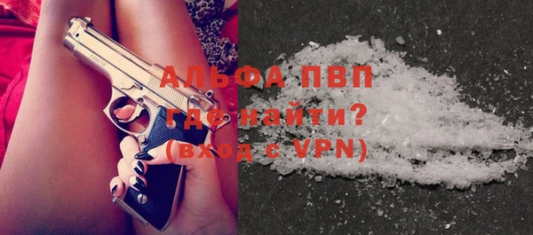 a pvp Бородино