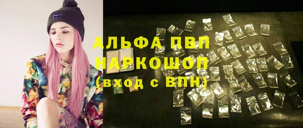 молекула духа Верхний Тагил