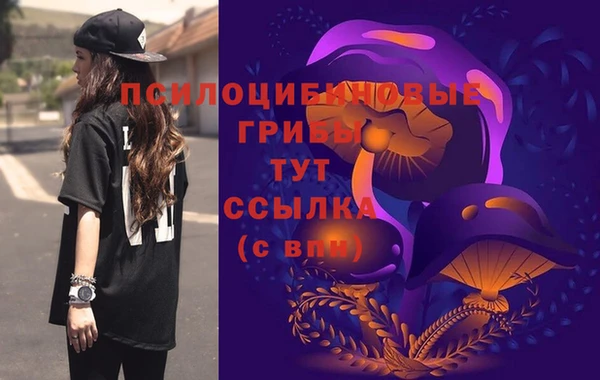 a pvp Бородино