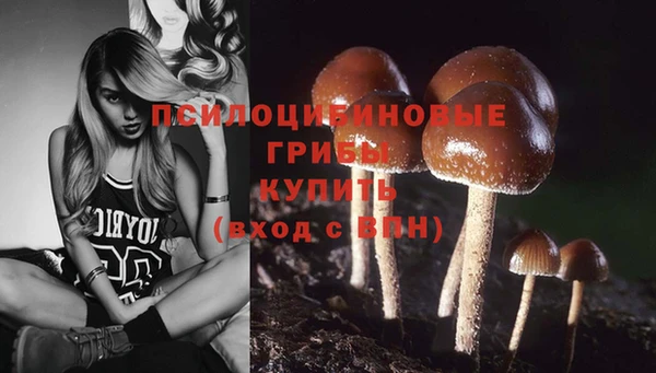 прущие крисы Бронницы
